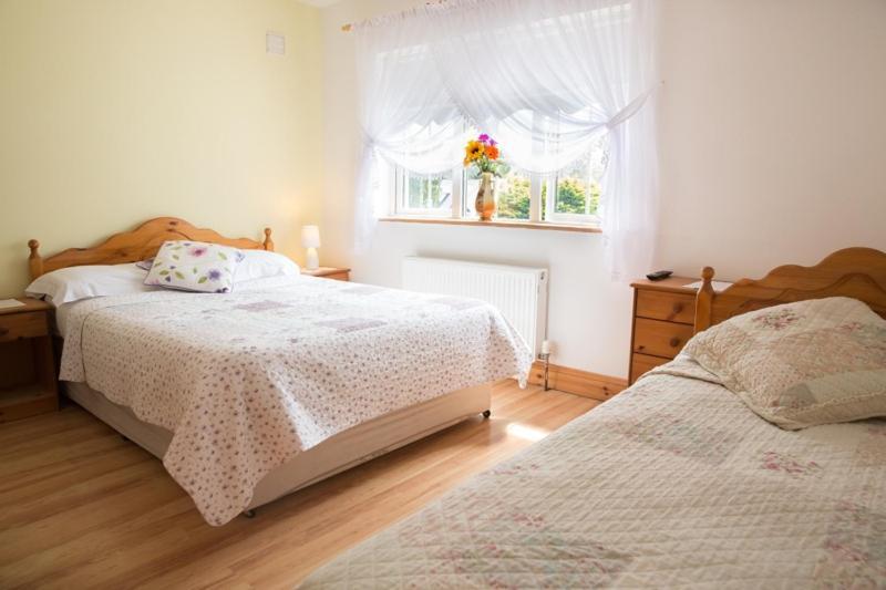 Shannon Breeze B&B Killaloe Ngoại thất bức ảnh