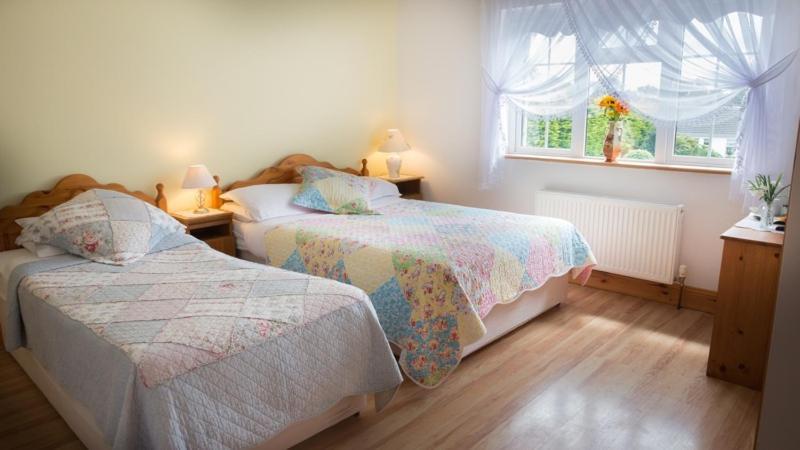 Shannon Breeze B&B Killaloe Ngoại thất bức ảnh
