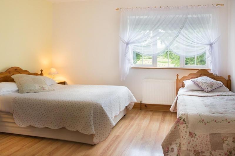 Shannon Breeze B&B Killaloe Ngoại thất bức ảnh
