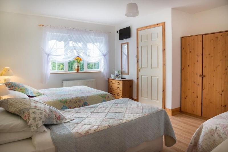 Shannon Breeze B&B Killaloe Ngoại thất bức ảnh