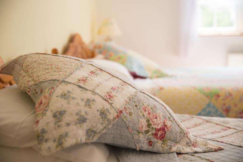 Shannon Breeze B&B Killaloe Ngoại thất bức ảnh