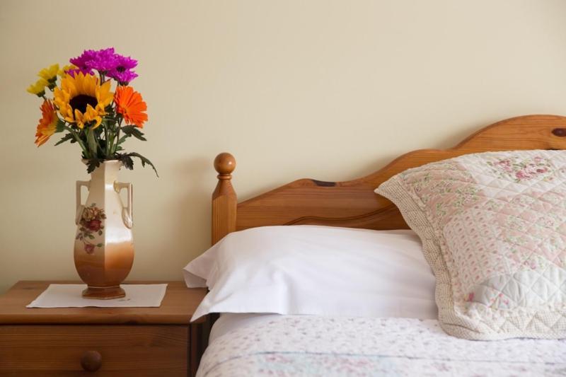 Shannon Breeze B&B Killaloe Ngoại thất bức ảnh