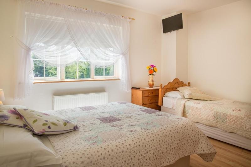 Shannon Breeze B&B Killaloe Ngoại thất bức ảnh