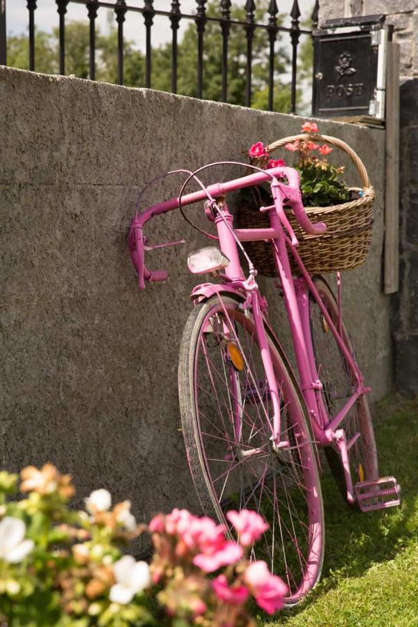 Shannon Breeze B&B Killaloe Ngoại thất bức ảnh