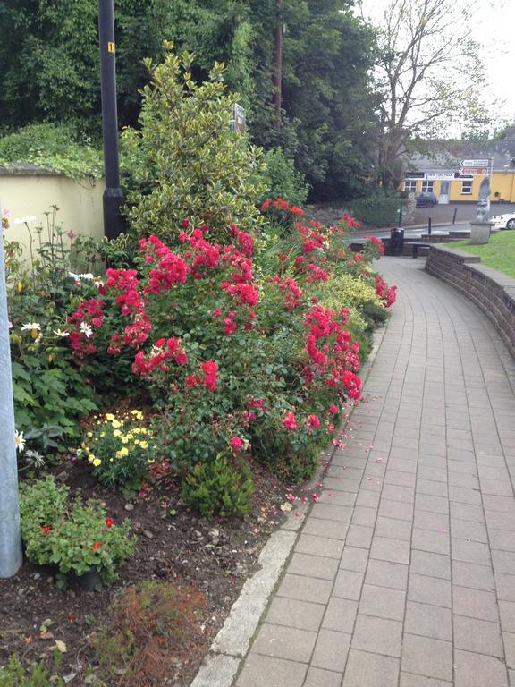 Shannon Breeze B&B Killaloe Ngoại thất bức ảnh
