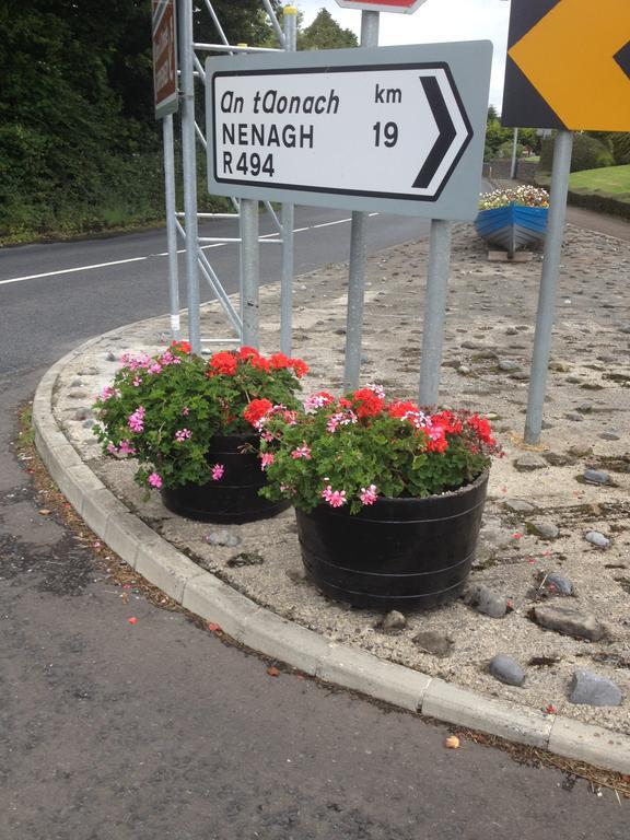 Shannon Breeze B&B Killaloe Ngoại thất bức ảnh