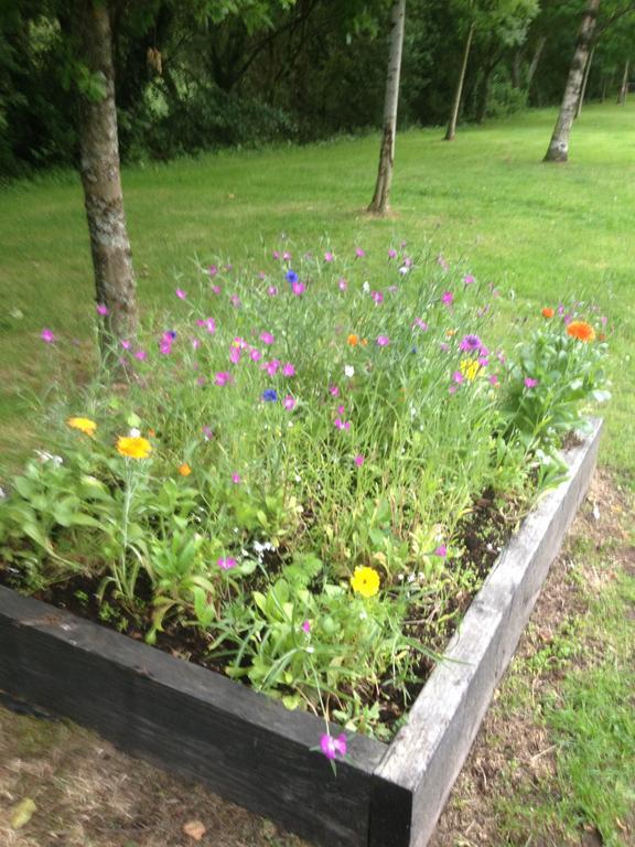 Shannon Breeze B&B Killaloe Ngoại thất bức ảnh